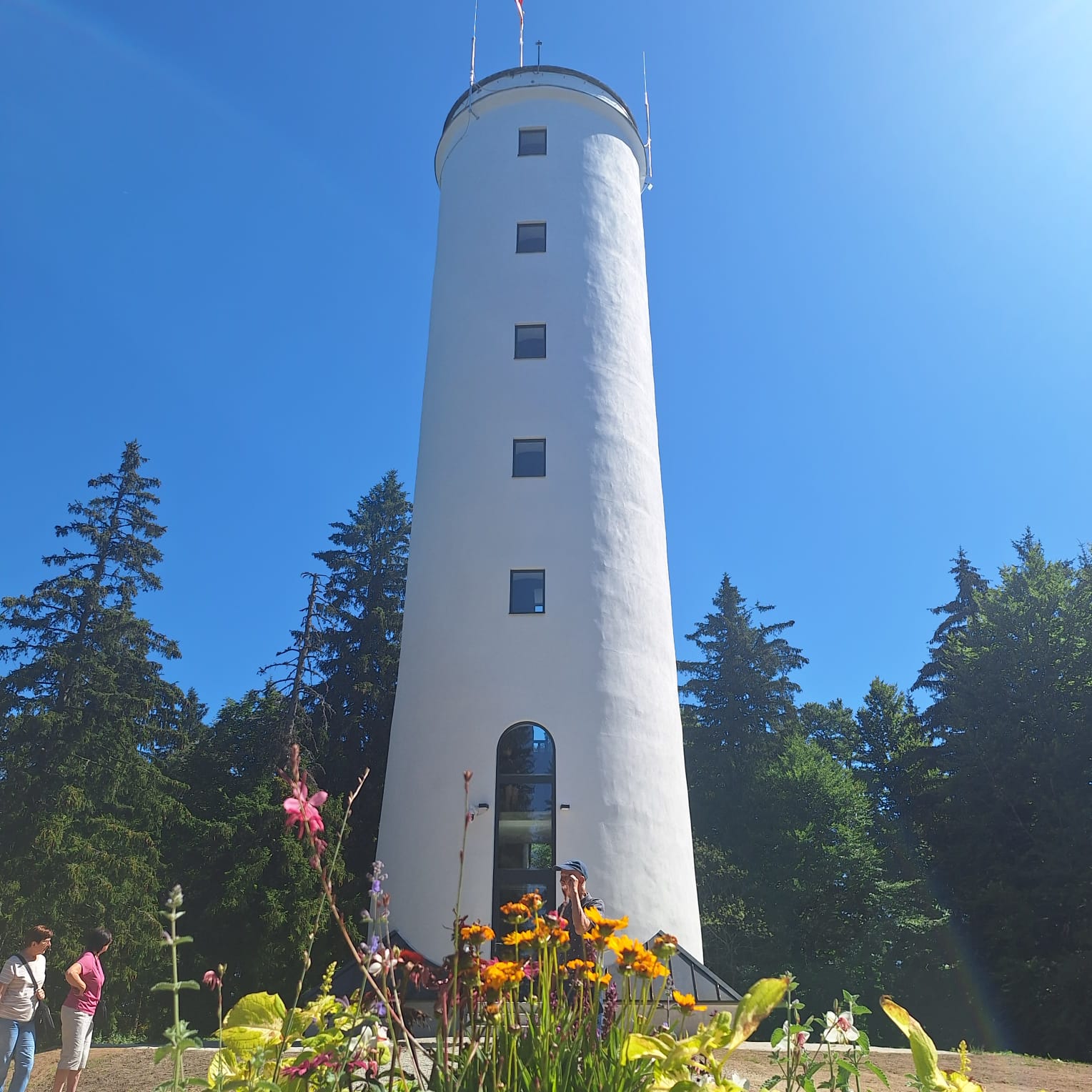 Aussichtsturm auf dem Libin